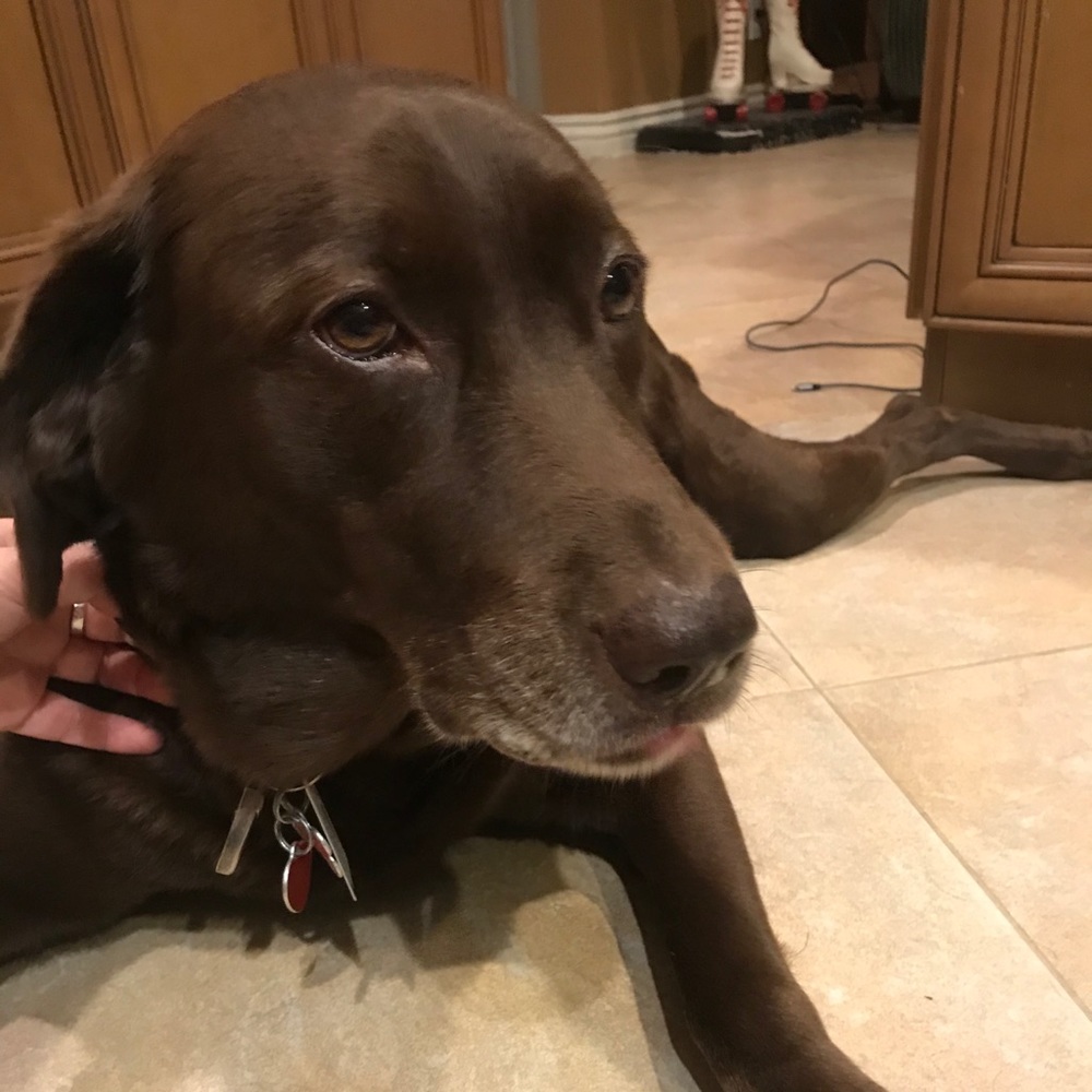 Meet your Posher, Deborah